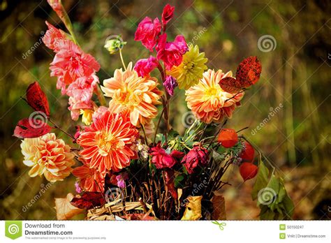 Bouquet Of Autumn Flowers Stock Image Image Of Flower 50150247