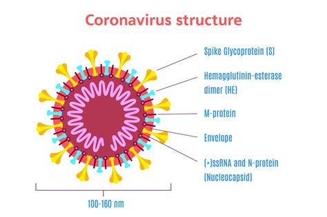 Science In The Time Of Corona Dectris