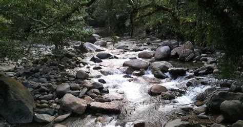 Hutan Lipur Sekayu Waterfall Air Terjun Sekayu Kuala Berang Bukit