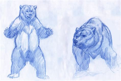Drawing Animals With Expression K Sean Sullivan Art Blog