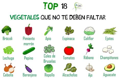 Top 18 Vegetales Que No Te Deben Faltar Vegetales Verduras Ejotes