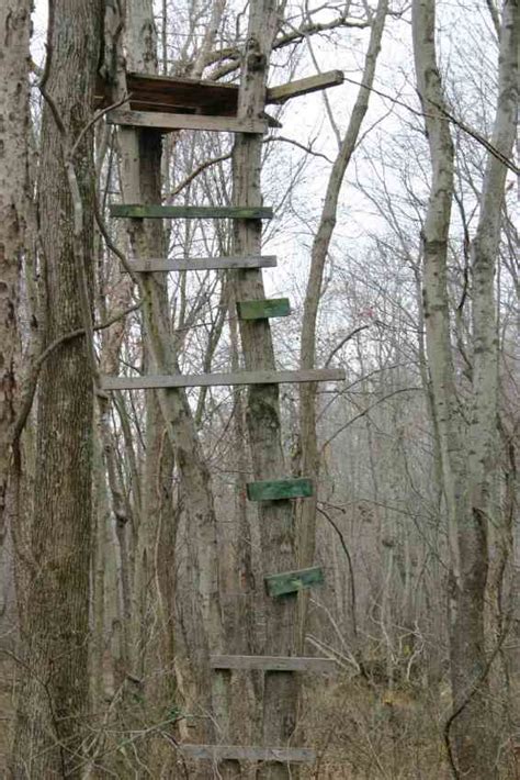 Check spelling or type a new query. Nothing beats sitting in the woods | Homemade tree stand ...