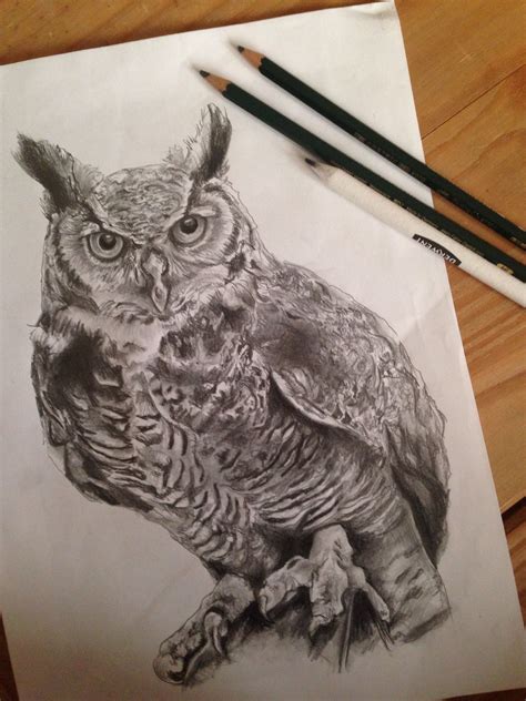 Realistic Owl Drawing Drawings Pinterest Tattoo