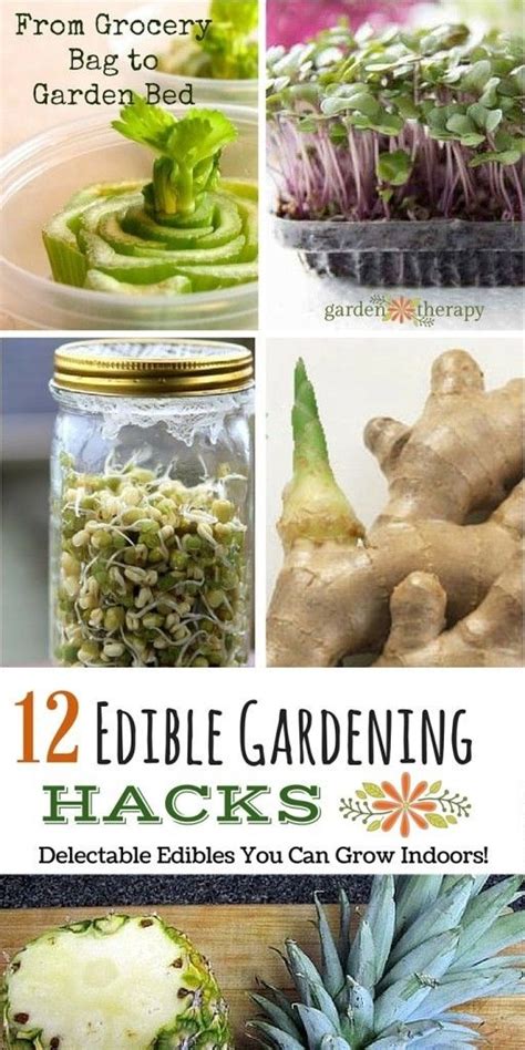12 Edible Gardening Hacks Delectable Edibles You Can Grow Indoors