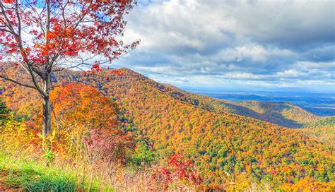 Skyline Drive Of Shenandoah National Park Stephen Hung Photography