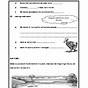 Environment Worksheet For 2nd Grade