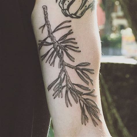 Pine Branch By Tattooist Spence Zz Tattoo
