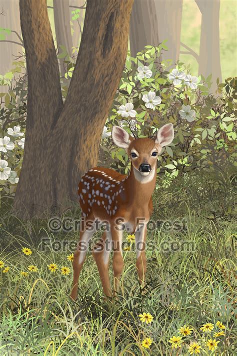 Forest Wildlife Art Deer Art Digital Paintings