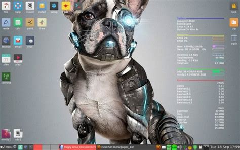 Puppy Linux Una Distro Ultracompacta Y Eficiente