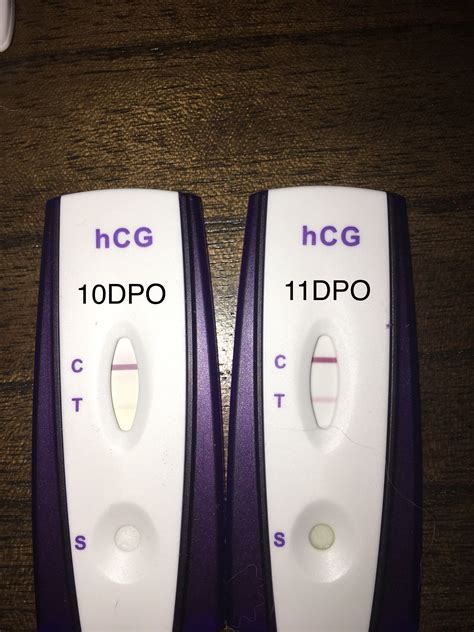 Equate First Signal Pregnancy Test Womanquipo