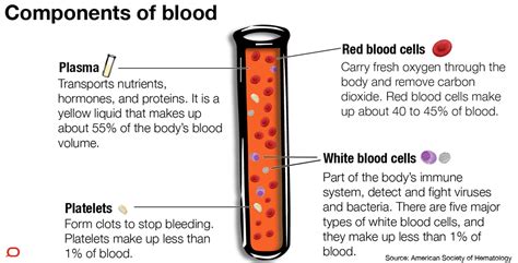 Body System Blood Components