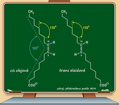 Struktura A Funkce Mastných Kyseliny