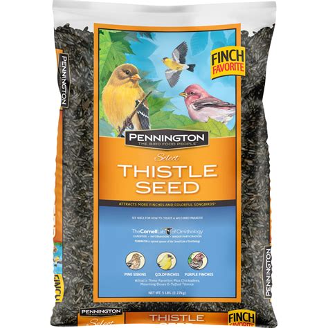 Pennington Select Thistle Seed Wild Bird Feed And Seed 5 Lb Bag