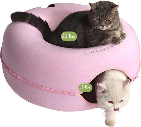 Cattasaurus Peekaboo Cat Cave For Multiple Cats And Large