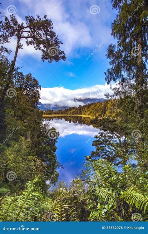 Reflection Scenic Of Lake Matheson In South Island New Zealand Stock