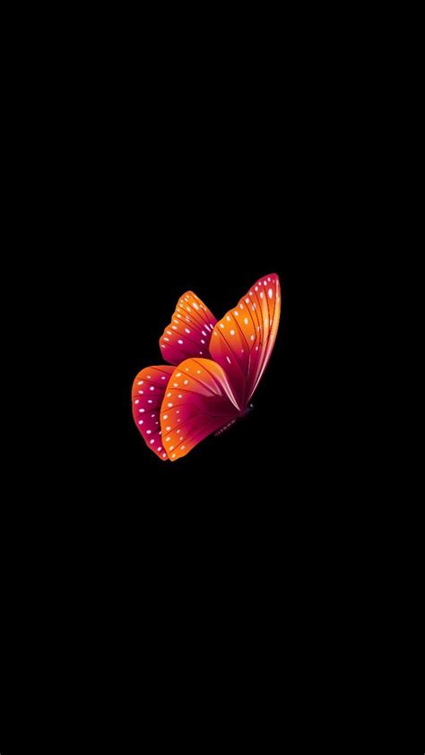 84 Aesthetic Empty Profile Picture Butterfly Iwannafile