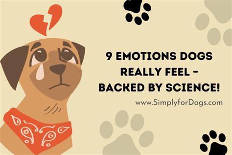 Emotions Dogs Archives Simply For Dogs