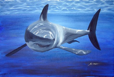 Shark Paintings