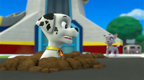 Paw Patrol Marshalls Weekly Wipeouts Pups Save Ryders Robot Youtube