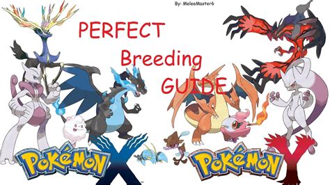 Pokemon legends quest ancient relics in modern times 1st & 2nd relic guide. Pokémon X & Y - Perfect Breeding Guide - YouTube