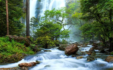 Rock Waterfall Between Forest 4k Widescreen Hd Nature Wallpapers Wallpapers Access