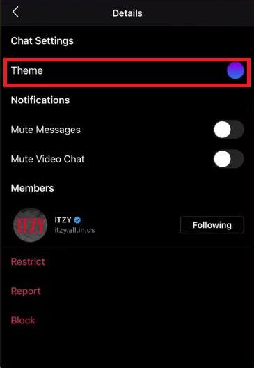 How To Change Instagram Chat Theme Color On Iphone And Android