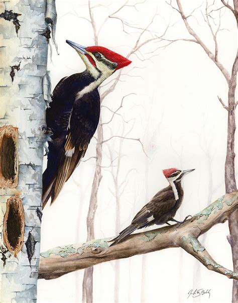 Pileated Woodpeckers Painting By Jackson Bloch