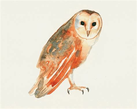 Barn Owl Original Watercolor Painting 10x8