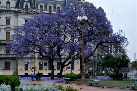 35 Photos Of Buenos Aires Argentina The Paris Of South America