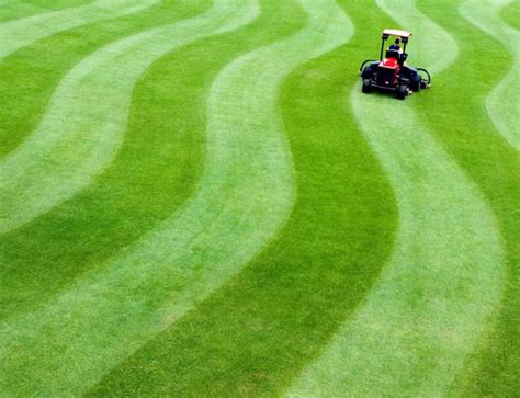 Keith Siler In Uncg Sports Turf Created This Mowing Masterpiece On The