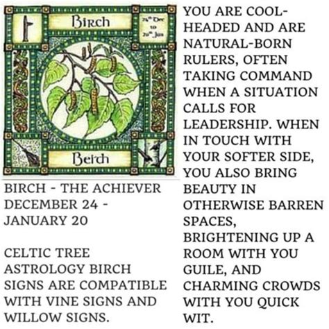 Celtic Tree Astrology Birch Celtic Tree Celtic Tree Astrology