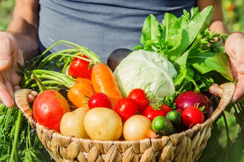 ¿conoces La Diferencia Entre Verduras Hortalizas Vegetales Y Frutas