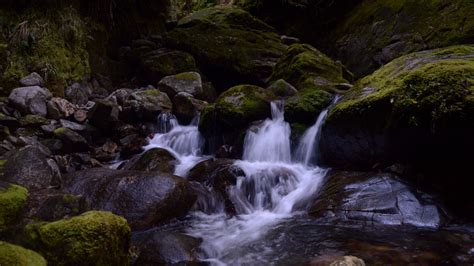 Download Wallpaper 2560x1440 Stream Stones Waterfall Moss Nature