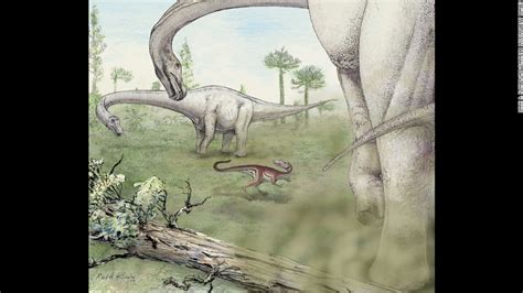 Massive 65 Ton Dreadnoughtus Dinosaur Unveiled Cnn