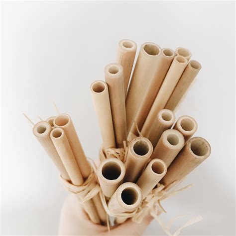 Bamboo Straw Set Darling Clementine