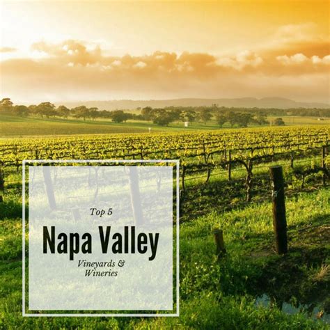 Top 5 Napa Valley Wineries