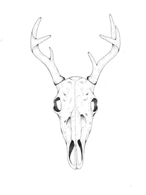 Deer Skull Deer Skull Art Skull Art Print Deer Skull Tattoos