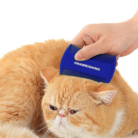 8 Best Cat Grooming Tools Every Cat Owner Wants - Ok Cute Pets