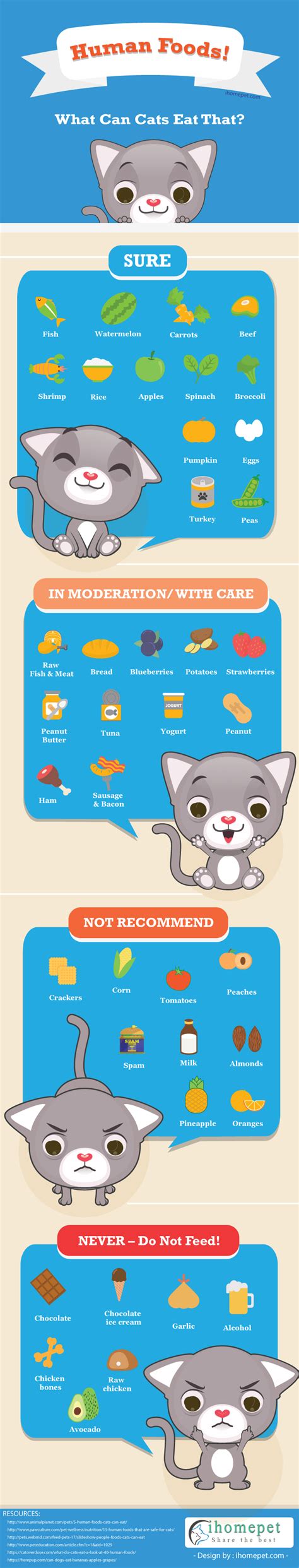 Shrimp is also a good cat treat for them. Infographic Human Foods - What Can Cats Eat Besides Cat ...