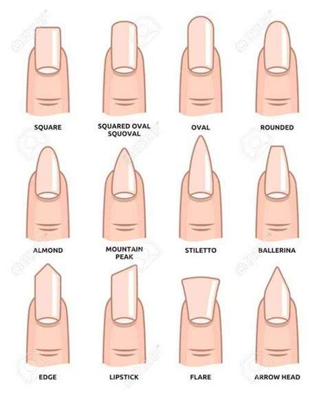 Mar 31, 2021 · acrylic nails images. Nail Shape Chart | Acrylic nail shapes, Nail shapes ...