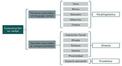 Cuadro Sinoptico Sobre Comunicacion No Verbal Atencion Sociosanitaria Images