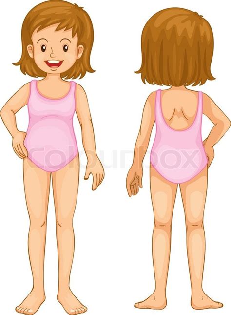 Download human body images and photos. Illustration of young girl front and back | Stock Vector ...