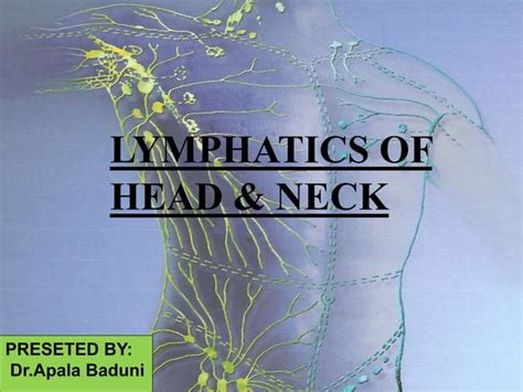 Lymphatics Head And Neck Ppt