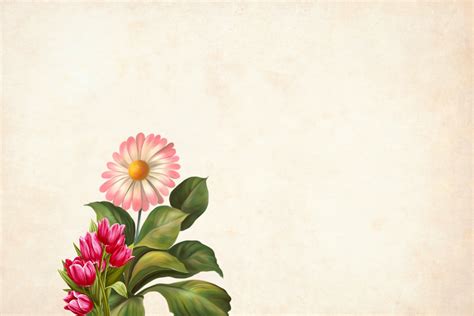 Flower Background Free Stock Photo Public Domain Pictures