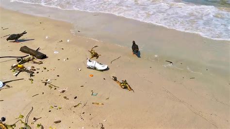 Stranded Washed Up Garbage Waste Trash Pollution On Beach Brazil