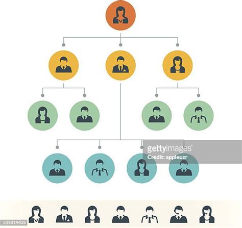 Organization Chart Illustration High Res Illustrations Getty Images