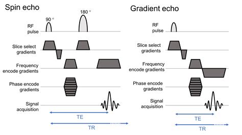 Spin Echo And Gradient Echopulse Sequence Diagrams