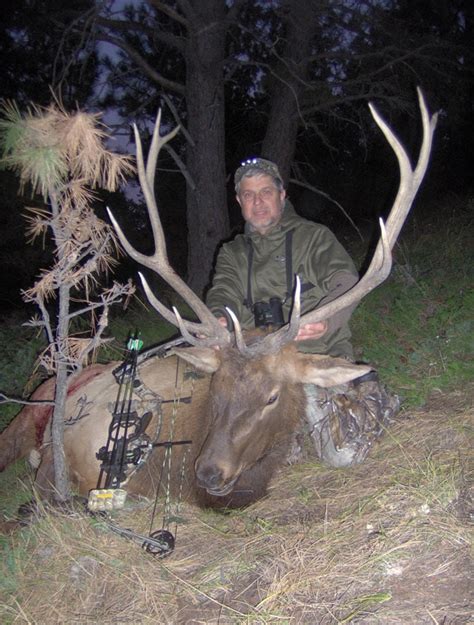 Montana Archery Elk Hunt 10024