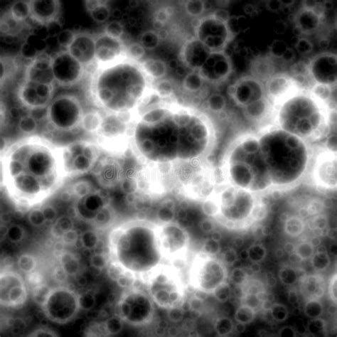 Bacteria Under Microscope Stock Photo Image Of Health 60651794
