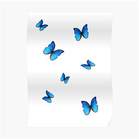 Blue Butterfly Poster By Roxyrocz Redbubble